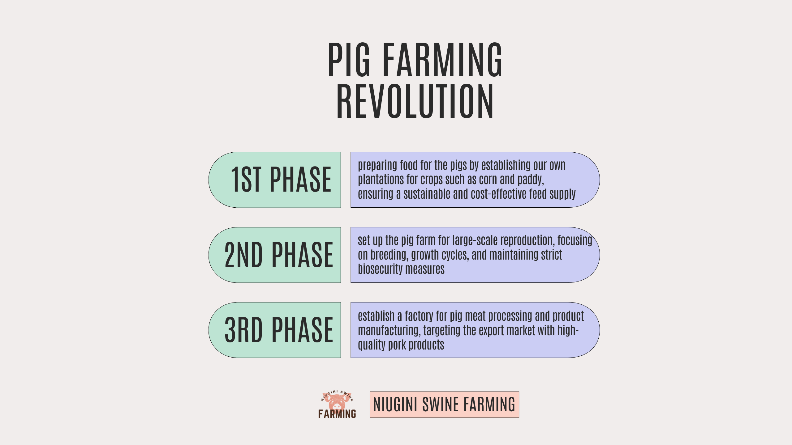 Pig Farming Revolution - 3